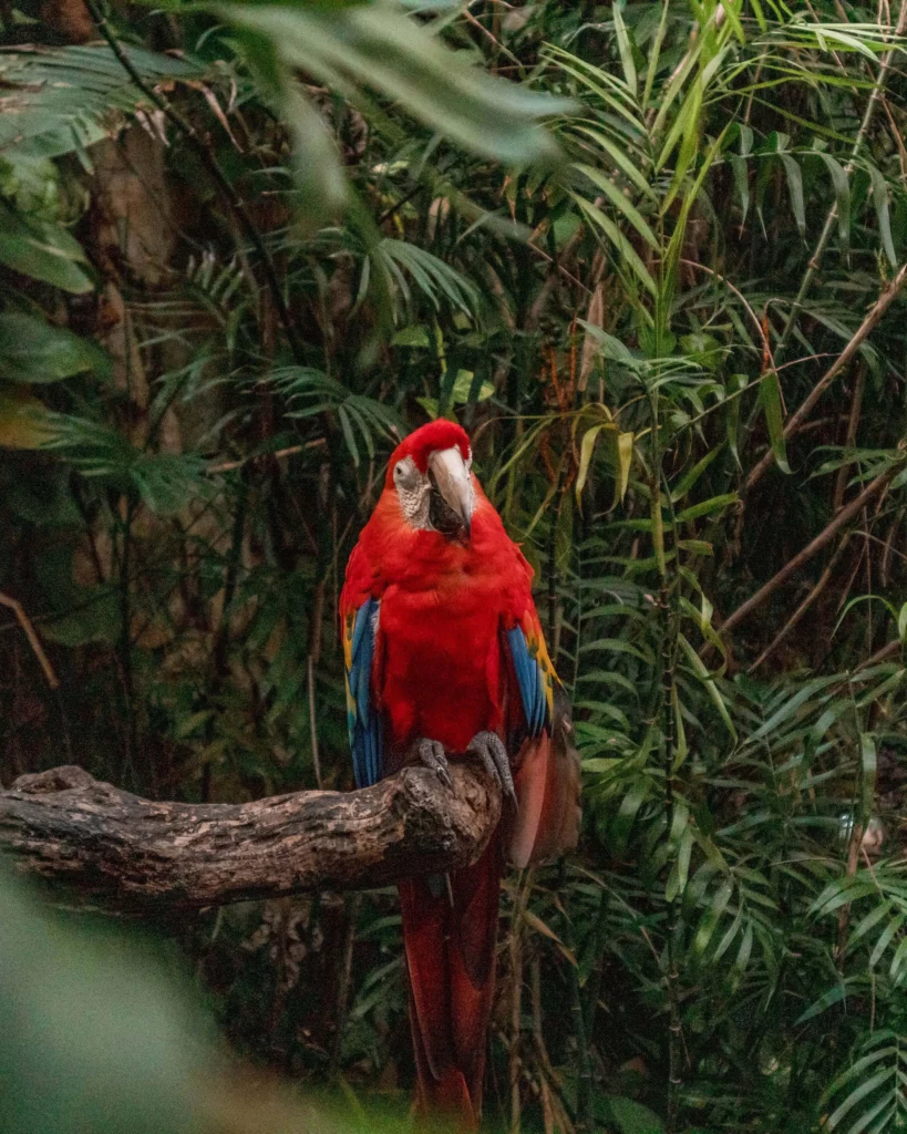 Xcaret Mexico